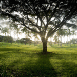 golf-holidays-abu-dhabi-sri-lanka